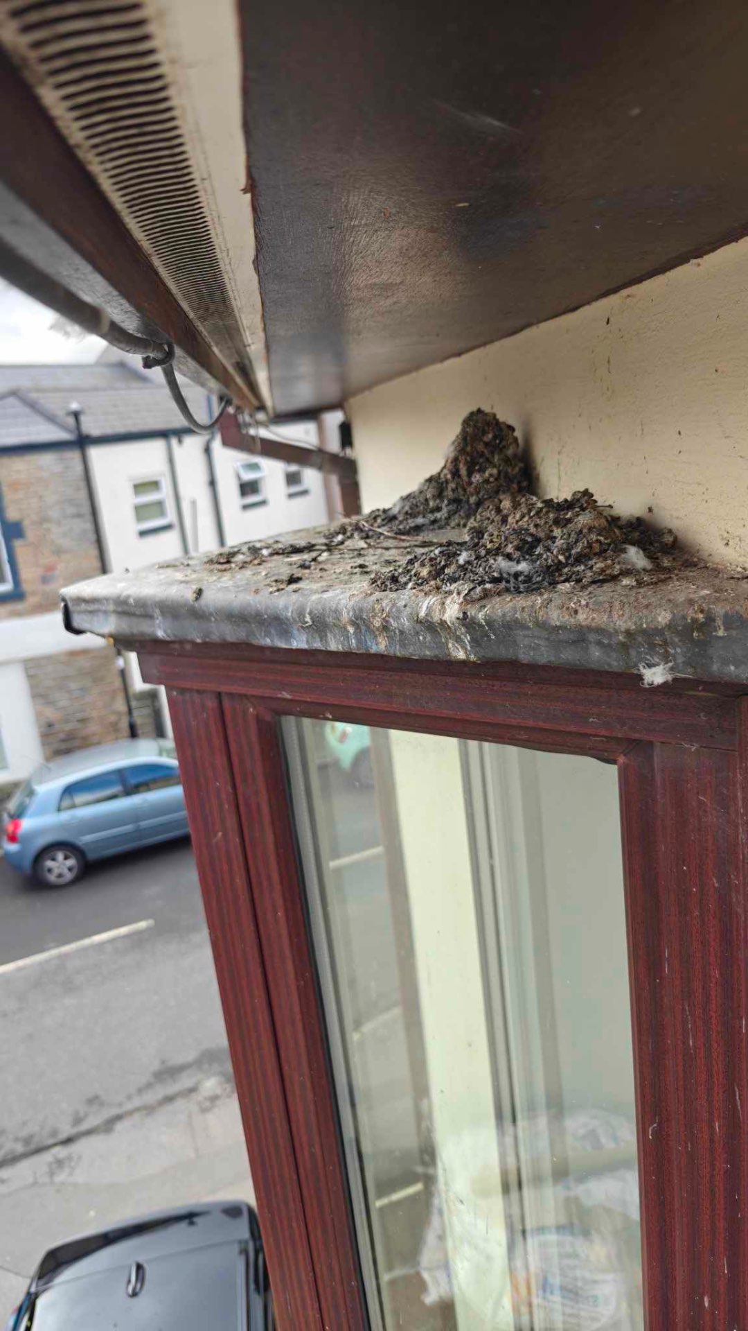 Pest Fouling Removal - Before