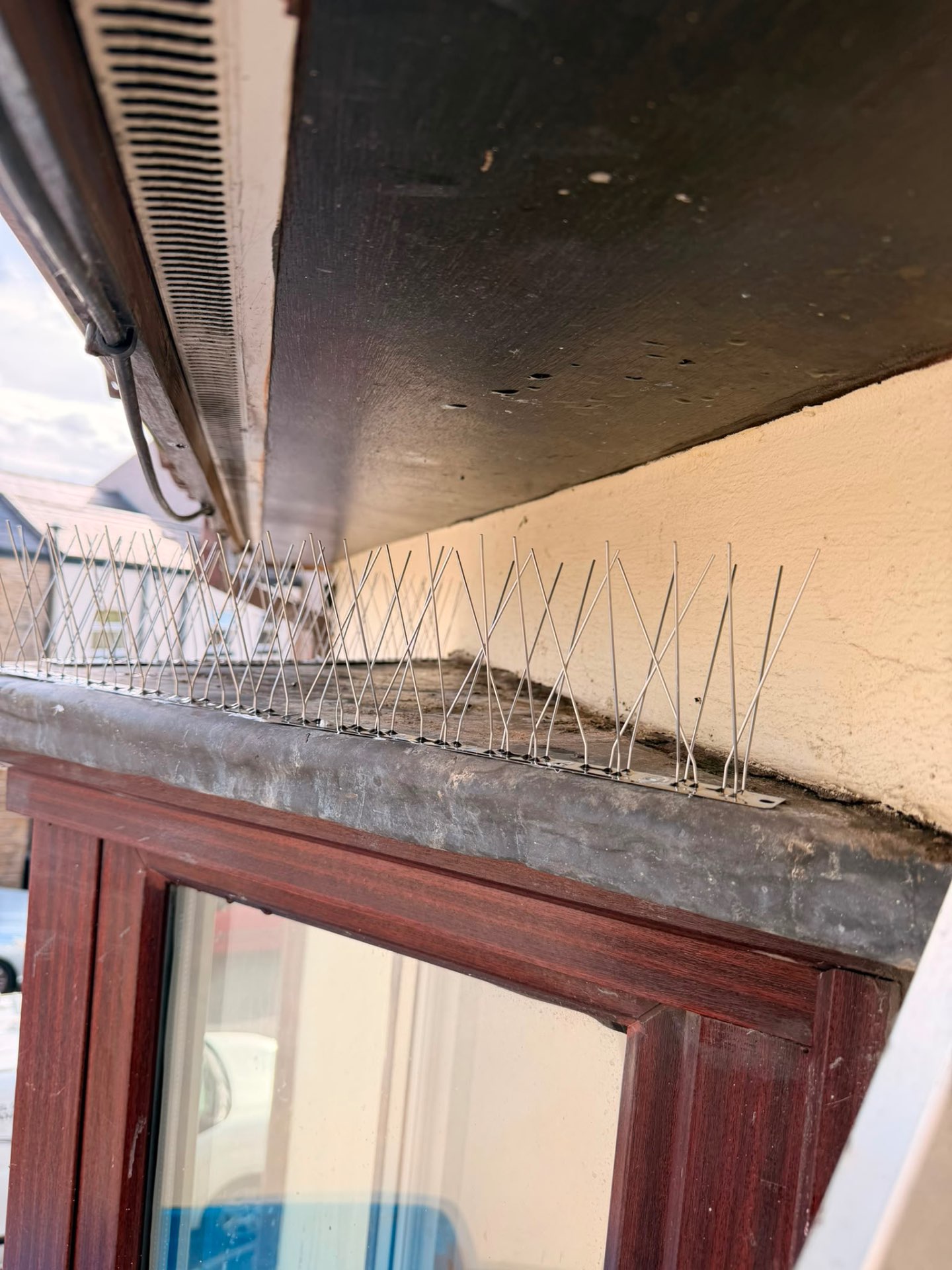 Bird Spikes Installed - After